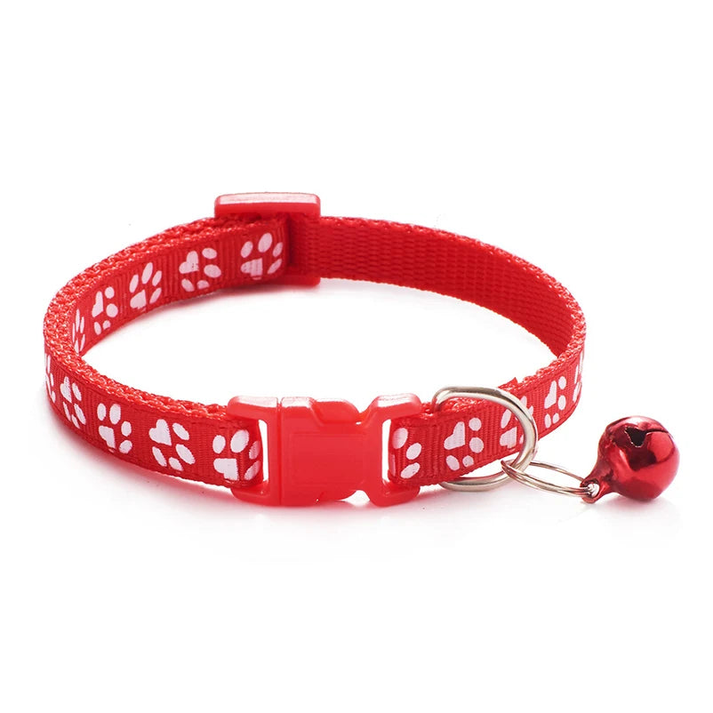 Collier pour Chat avec Clochette – Plusieurs Couleurs