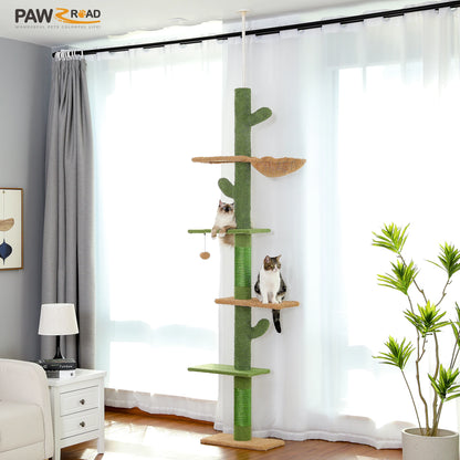 Arbre à chat cactus