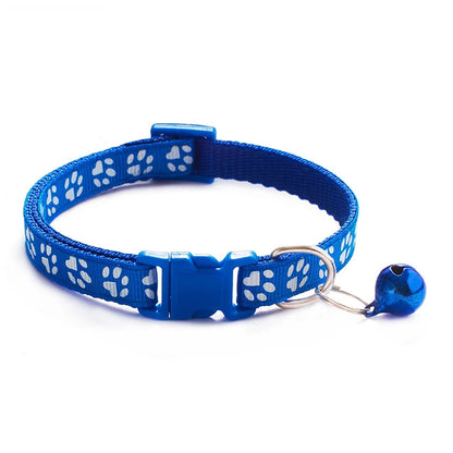 Collier pour chien et chat