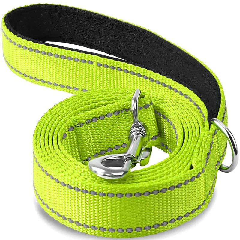 Laisse Pour Chien  pliable