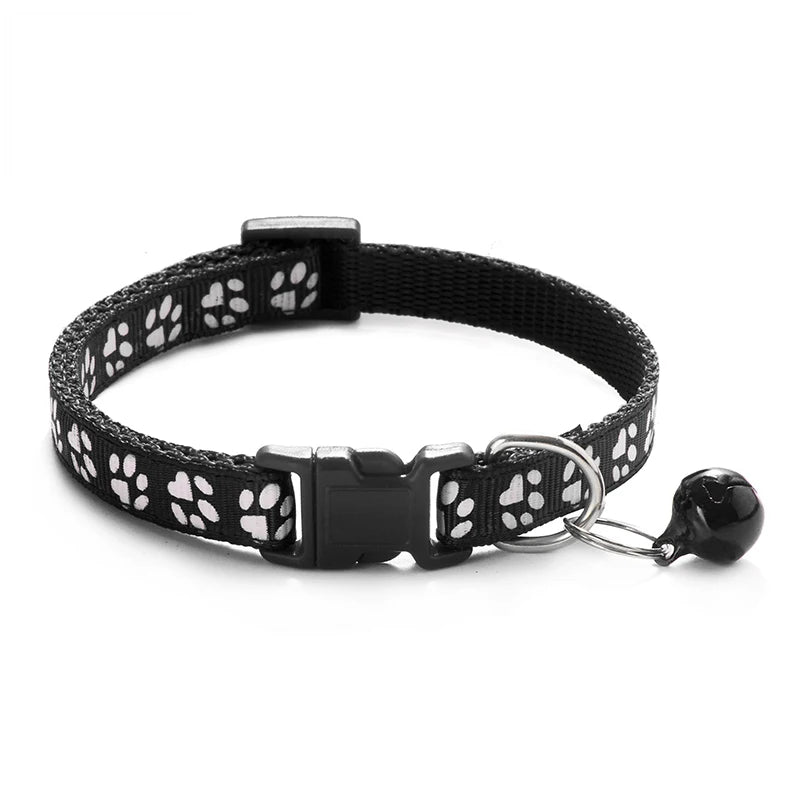 Collier pour chien et chat