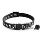 Collier pour chien et chat
