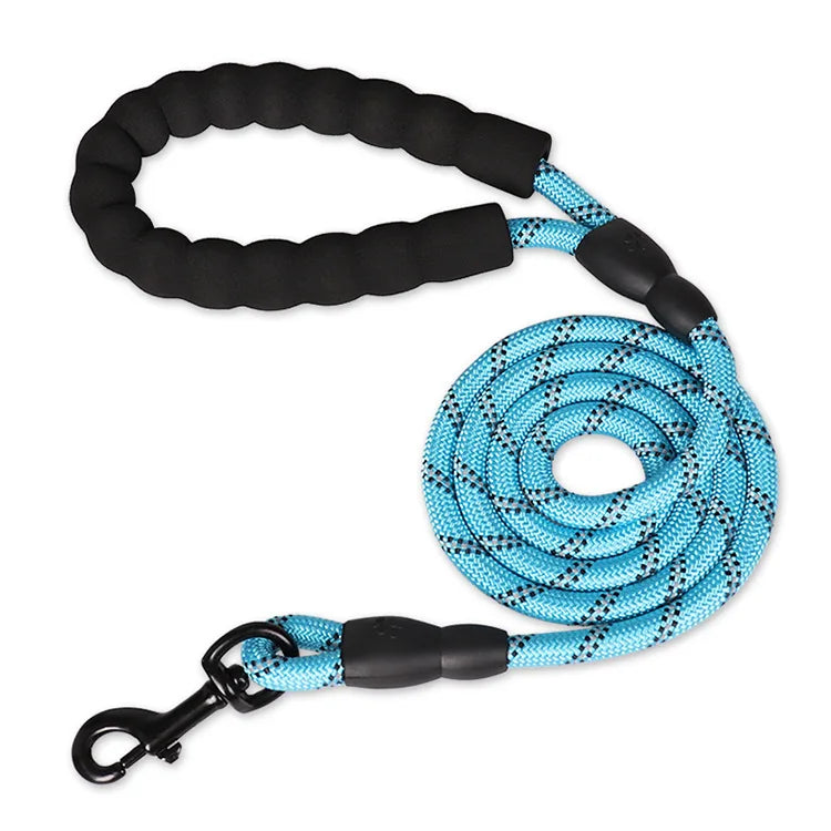 Laisse Réfléchissante Renforcée en Nylon pour Chien – Sécurité Jour & Nuit | ZUPET