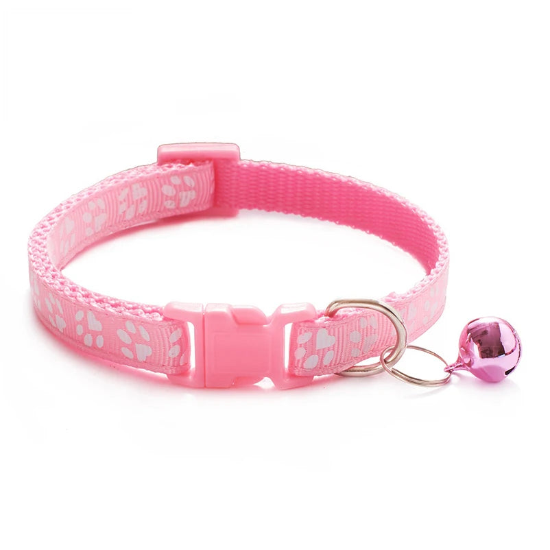 Collier pour chien et chat