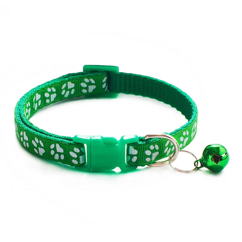 Collier pour chien et chat