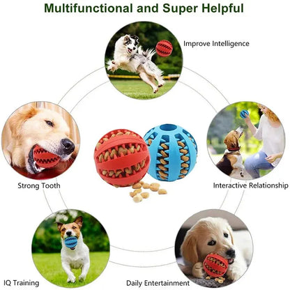 Jouet à Mâcher en Caoutchouc pour Chien – Résistant & Sûr | ZUPET
