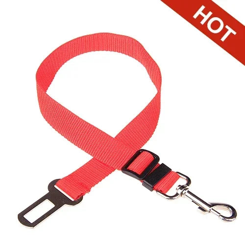 Ceinture de sécurité pour animaux de compagnie