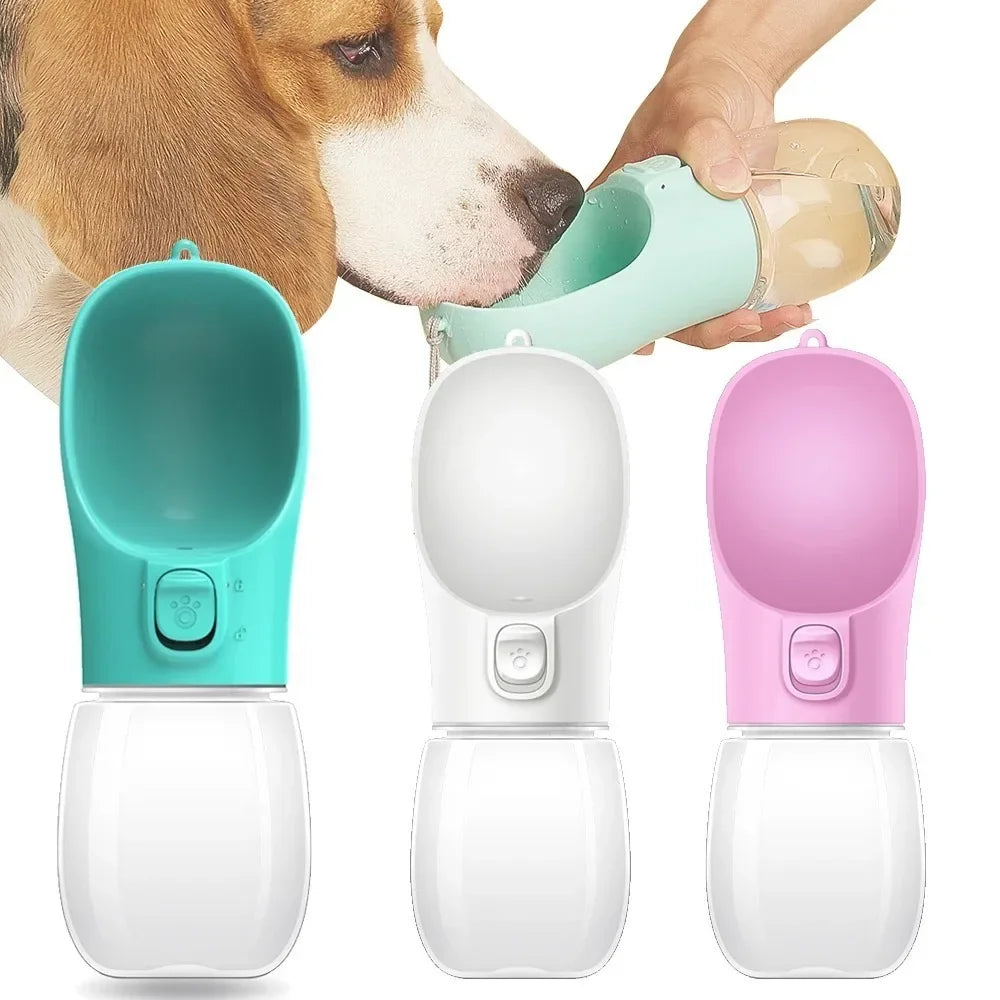 Bouteille d'eau portable pour petits et grands chiens et chats