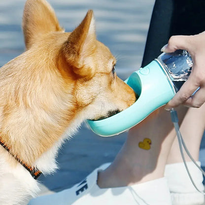 Bouteille d'eau portable pour petits et grands chiens et chats