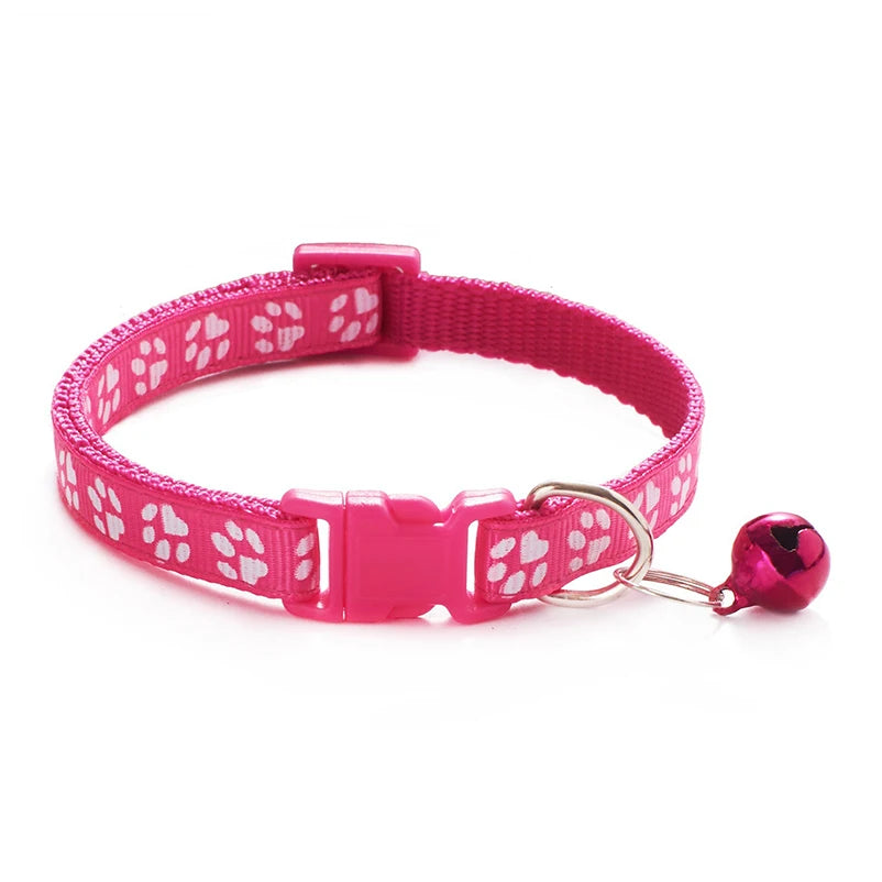 Collier pour chien et chat