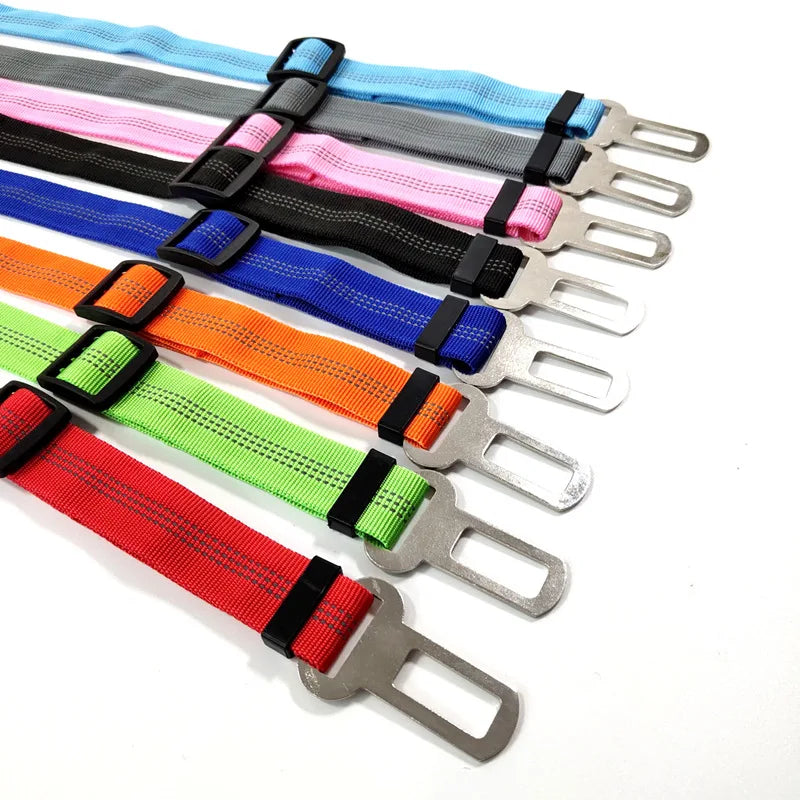 Ceinture Sécurité Voiture ZUPET incluse dans le bundle