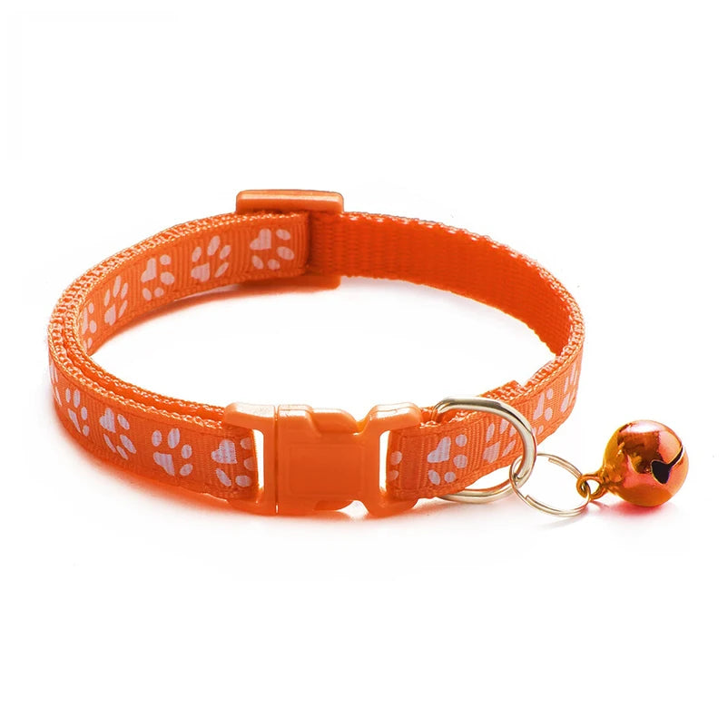 Collier pour chien et chat