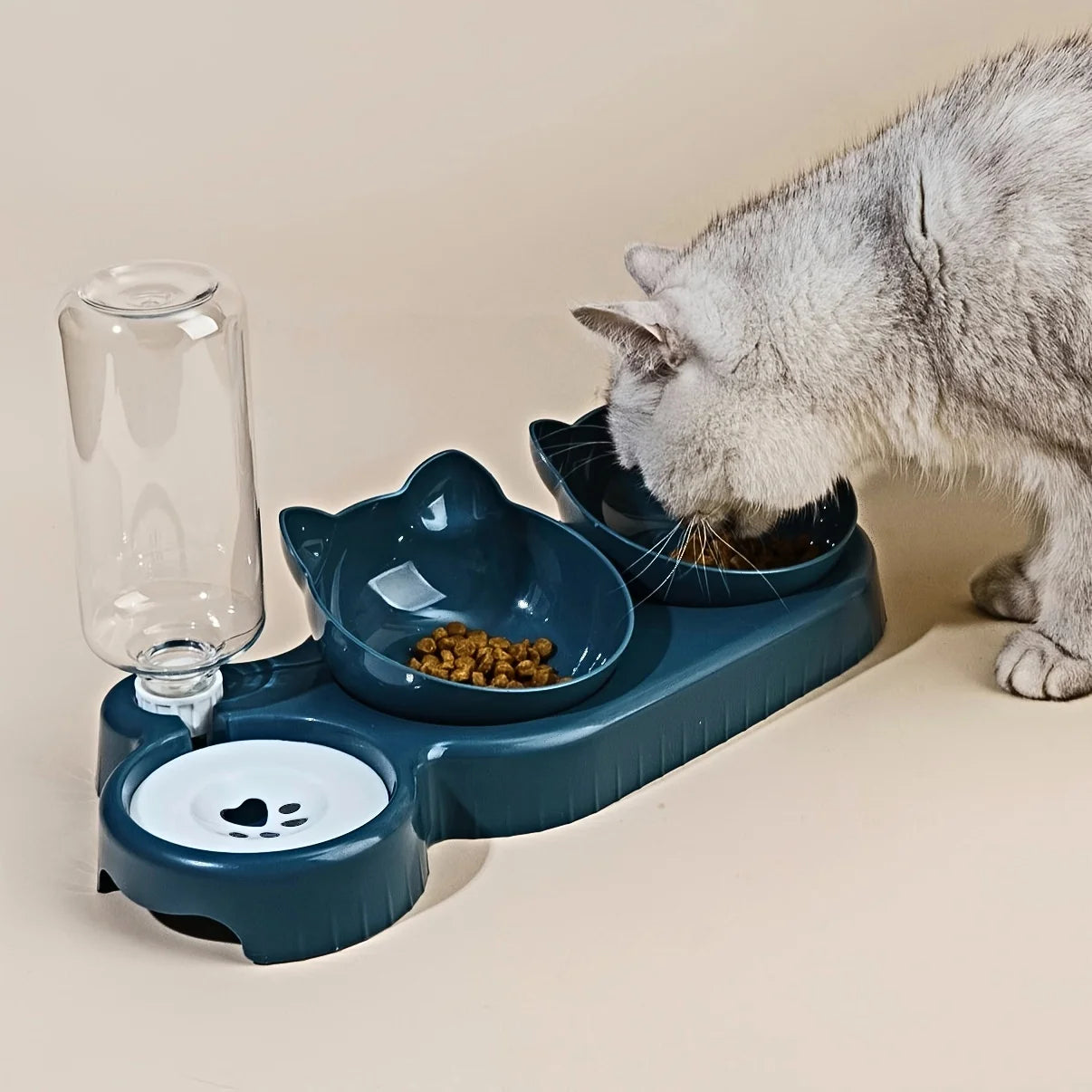 Gamelle pour chat