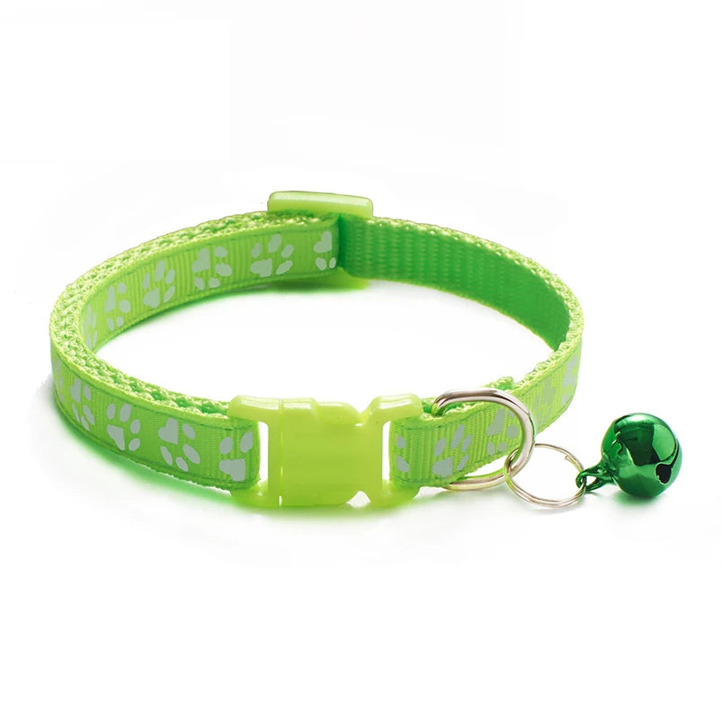 Collier pour chien et chat