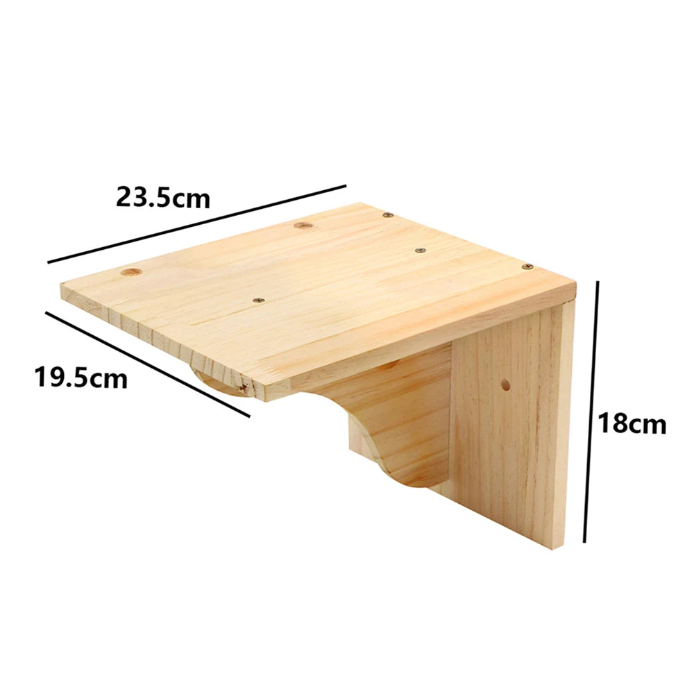 JOUET EDUCATIF POUR CHAT