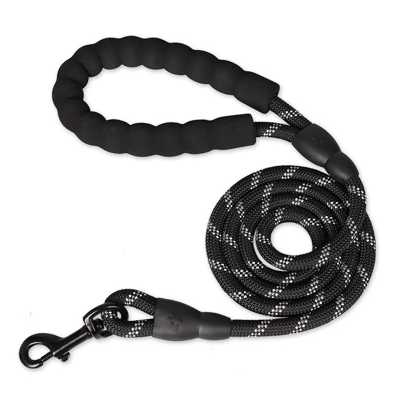 Laisse Réfléchissante Renforcée en Nylon pour Chien – Sécurité Jour & Nuit | ZUPET