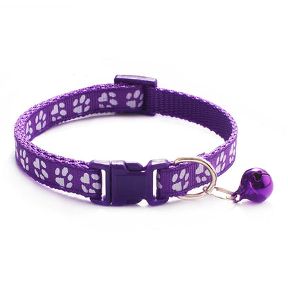 Collier pour chien et chat