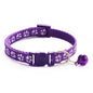 Collier pour chien et chat