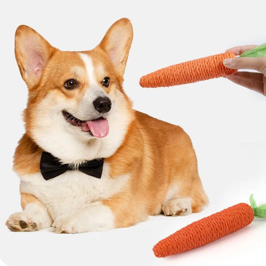 Jouet pour chien en forme de carotte