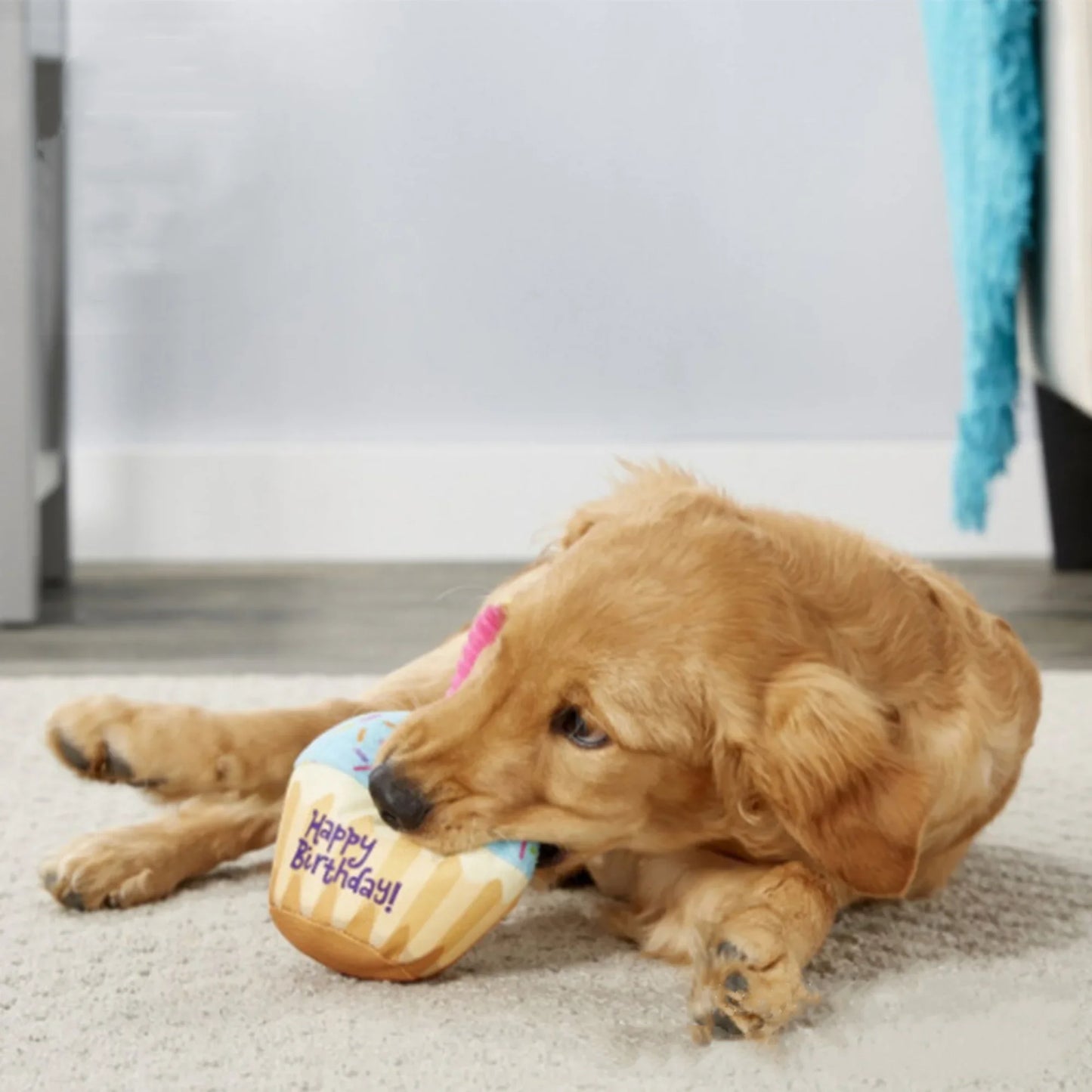 Jouet en peluche pour chien