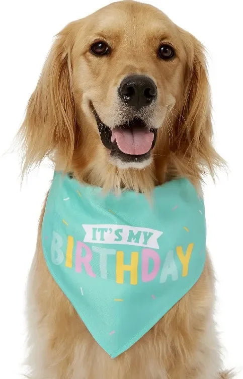 Jouet en peluche pour chien