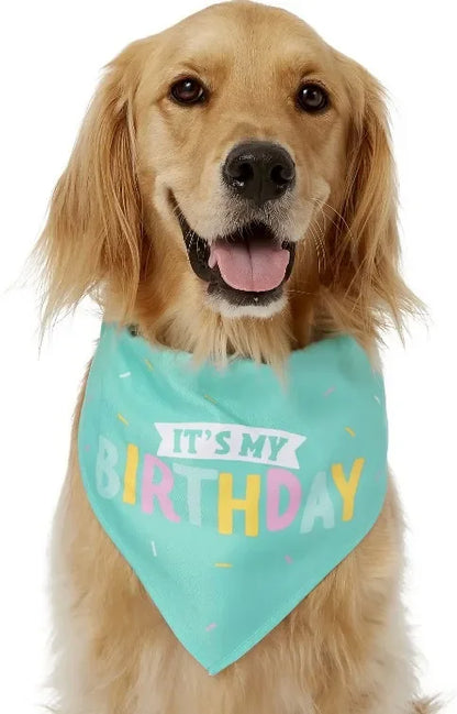 Jouet en peluche pour chien
