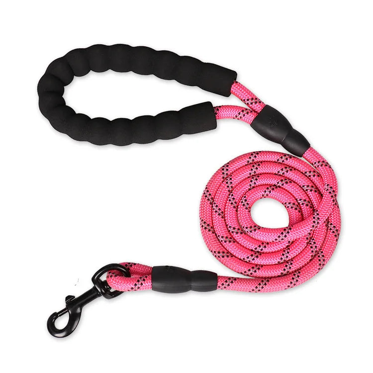 Laisse Réfléchissante Renforcée en Nylon pour Chien – Sécurité Jour & Nuit | ZUPET