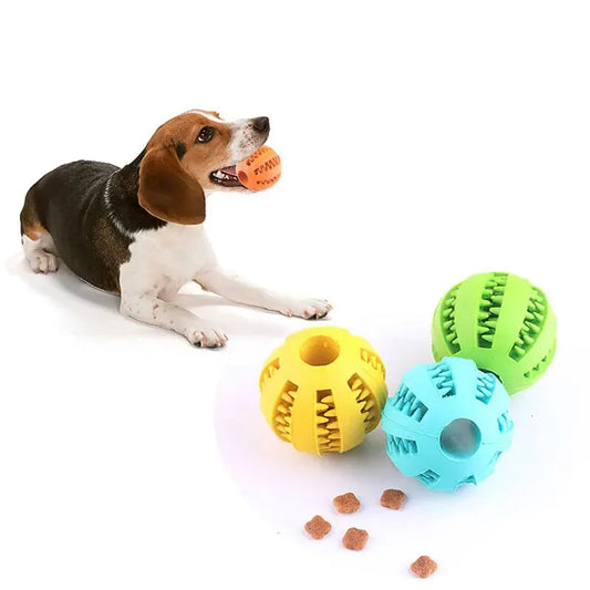 Jouet pour chien