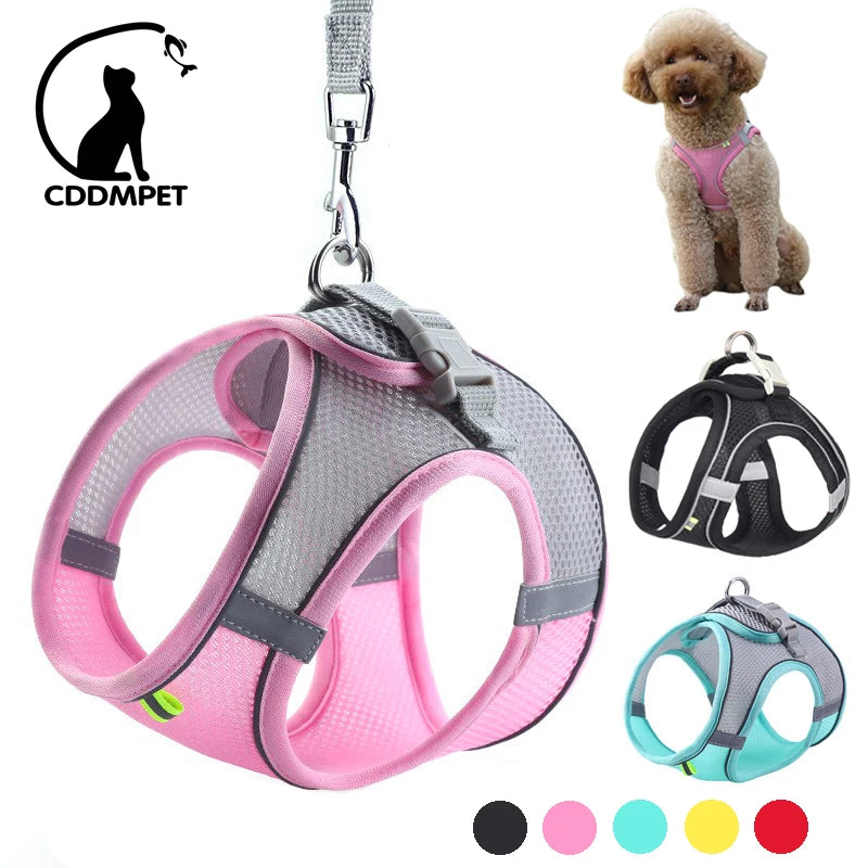 Bundle Sécurité ZUPET – Harnais Réfléchissant + Ceinture Voiture