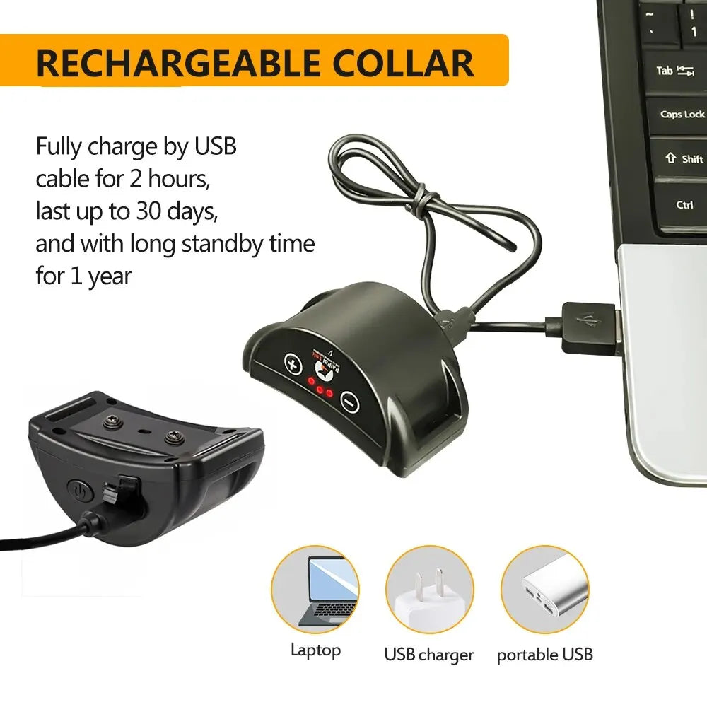 Collier anti-aboiement rechargeable pour chiens