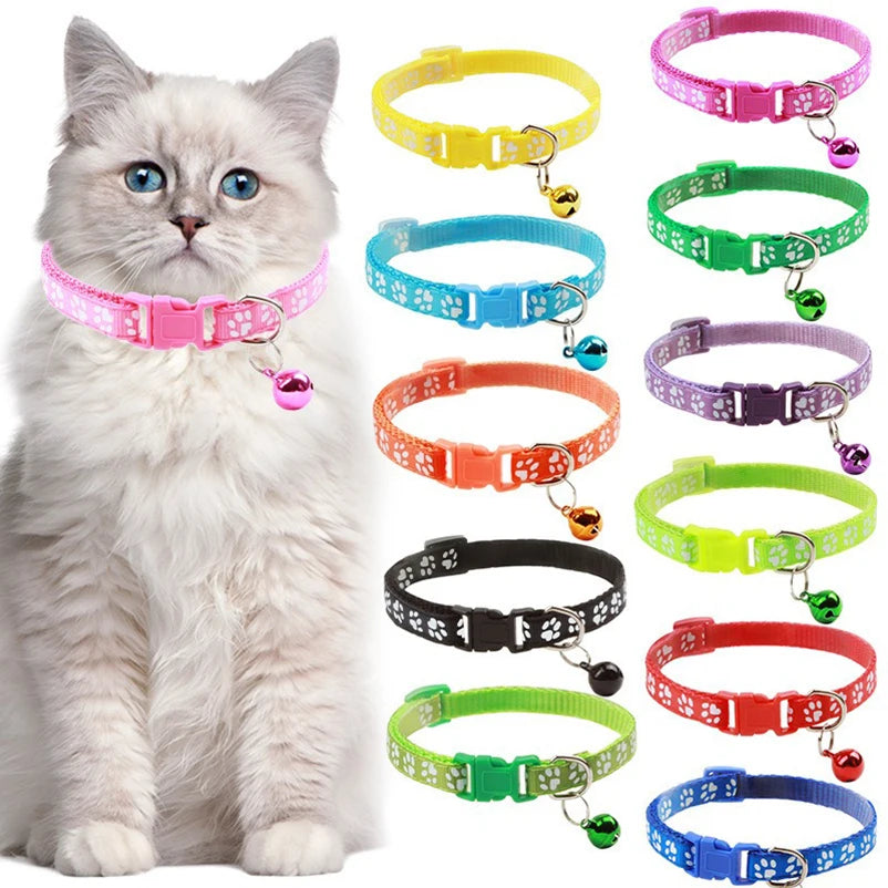 Collier pour chien et chat