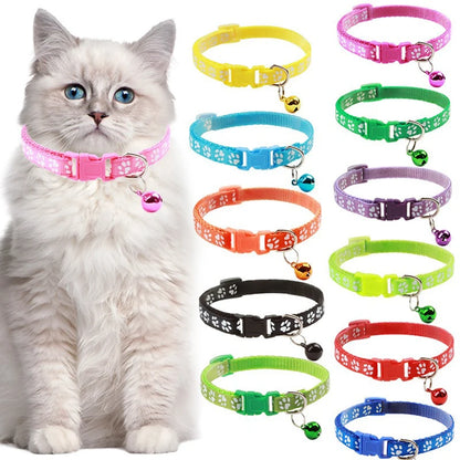 Collier pour chien et chat