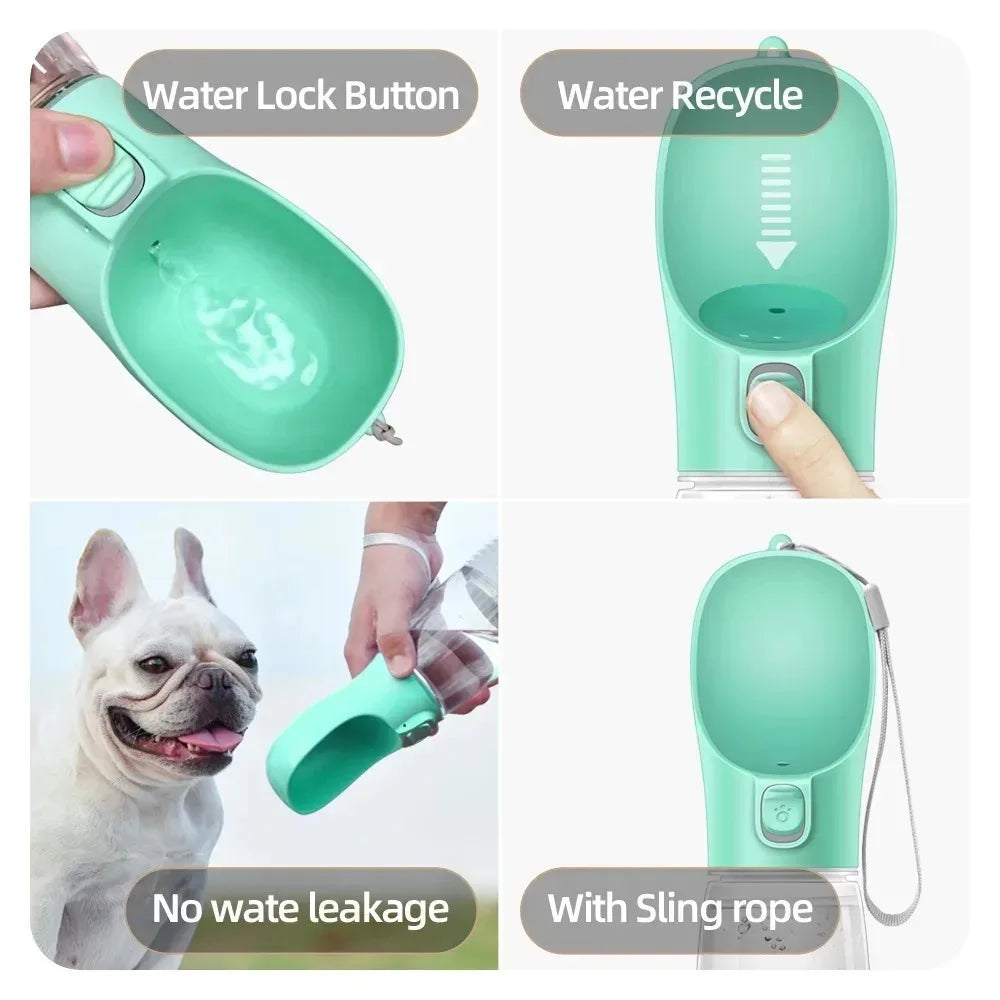Bouteille d'eau portable pour petits et grands chiens et chats